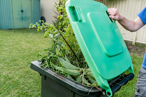 Green bin container filled with garden waste. Spring clean up. Gardening Recycling garbage for a better environment.