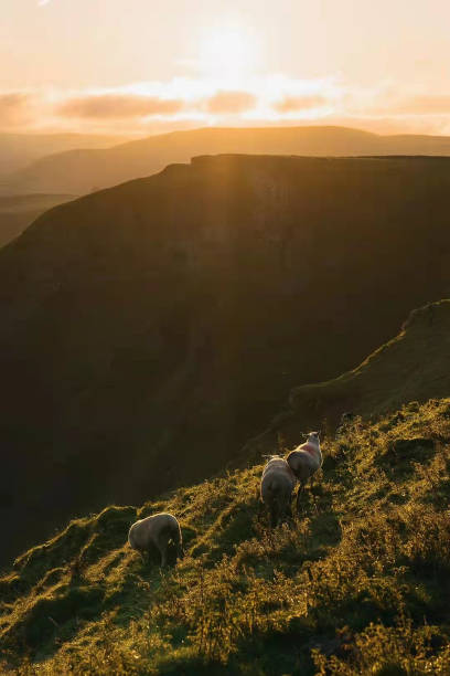 istock Sunrise of scottish highlands 1372123914