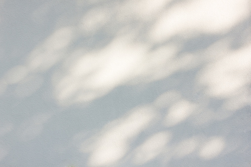 Sombras de verano de follaje de árboles en la pared por la tarde. Tranquilo y suave fondo de verano. patrón de sombra natural photo