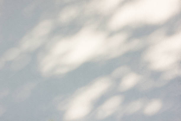 ombre estive di fogliame di alberi sul muro nel pomeriggio. calmo sfondo estivo morbido. modello di ombra naturale - penombra foto e immagini stock