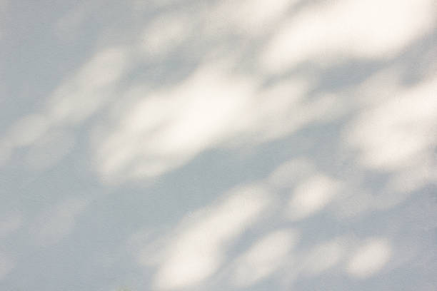 summer shadows of tree foliage on the wall in the afternoon. calm soft summer background. natural shadow pattern - shade imagens e fotografias de stock