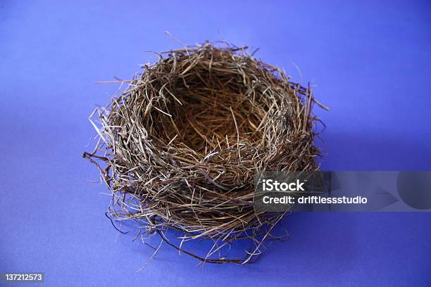 Foto de Bird Nest Em Chromablue Fundo e mais fotos de stock de Aberto - Aberto, Acessibilidade, Arquitetura