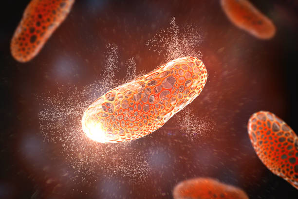 уничтожение бактерии, концептуальная 3d иллюстрация - oxide стоковые фото и изображения