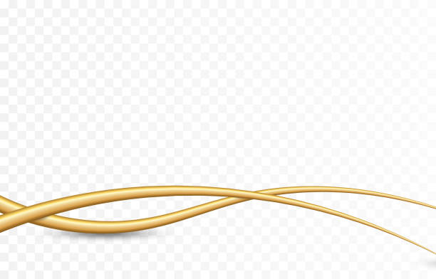 istock Vector gold lines. Wavy lines on an isolated transparent background. Abstract golden lines. 1372126825
