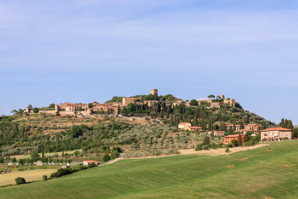 vue d’en bas sur la colline avec des cyprès et l’ancienne ville de monticello au sommet. toscane, ital - tuscan cypress photos et images de collection