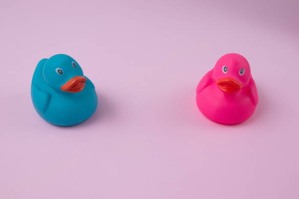 istock Two ducks pink and blue with copy space on a pink background. Minimal flat lay scene. 1372126905
