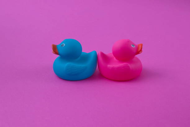istock Two ducks pink and blue with their backs to each other with copy space on a purple background. Minimal flat lay scene. 1372126916