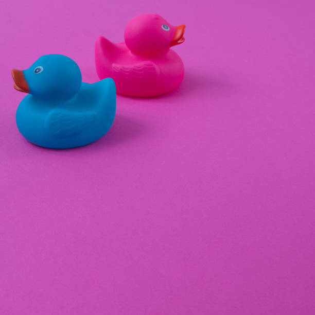istock Two ducks pink and blue with copy space on a purple background. Minimal flat lay scene. 1372126932