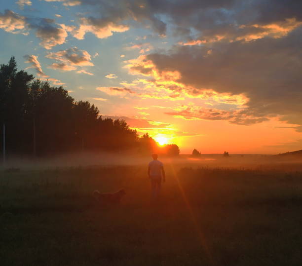 istock A man with a dog in sunset 1372129875