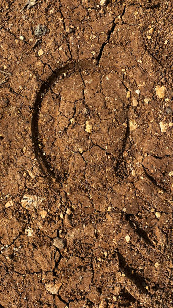 human bare foot step print on the soil ground