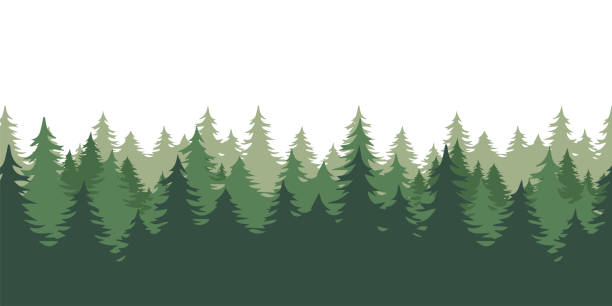 ilustraciones, imágenes clip art, dibujos animados e iconos de stock de silueta bosque de fondo. vista panorámica del bosque. madera 3d o fondo forestal. - bosque