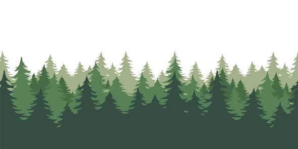 Silhouette forest background. Forest panorama view. Vector illustration. 3d wood or forest background.