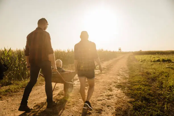 Photo of Father and mother walking next to each other on a country lane, father pushing his son in a wheelbarrow, twilight