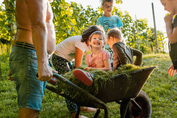 istock Grandfather with grandchildren having fun while in field 1372134630