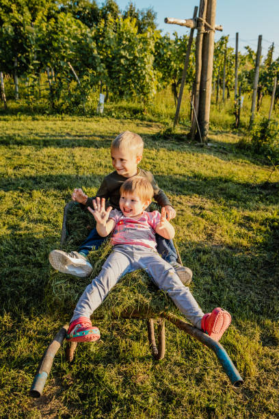 menino e menina sorridentes se divertindo enquanto sentam no carrinho de mão - wheelbarrow playing sibling rural scene - fotografias e filmes do acervo