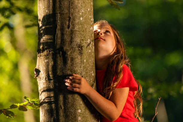 istock Little girl is looking up while hugging a tree closely in the woods 1372138337