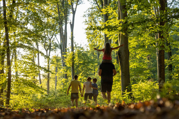 A happy family mess about in the woods together. The mother and faher give their children piggybacks.