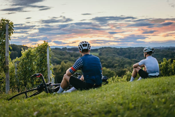 istock Cyclists enjoying the view in the vineyard at sunset 1372138884
