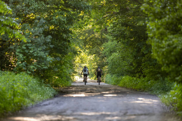 istock Off-road bikers riding bikes through the Lush Green Woods 1372139086