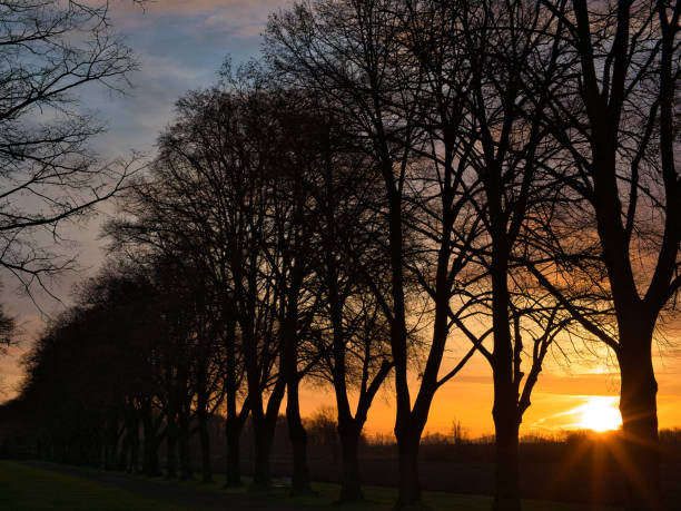 istock Sunrise in Bruehl ( Germany) 1372140226