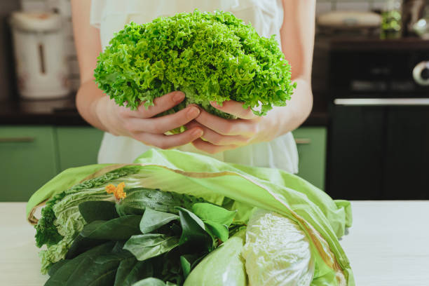 légumes vitaminés utiles achetés en magasin, hôtesse féminine ramenée à la maison pour préparer des aliments sains en vitamines - lollo bionda lettuce photos et images de collection