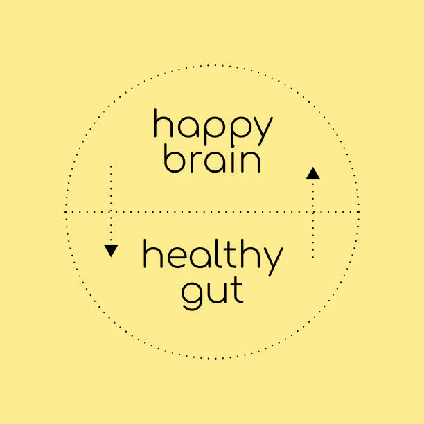 здоровый кишечный счастливый мозг - brain concentration mental illness intelligence stock illustrations