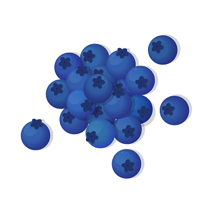 Bunch of blueberries. Vector illustration, flat cartoon color design, isolated on white background, eps 10.