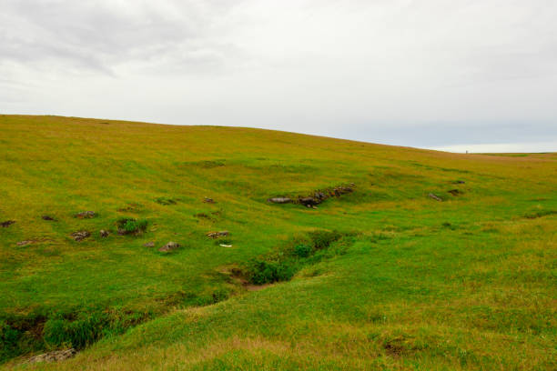 istock countryside green grass mountain with flat sky at morning 1372144031