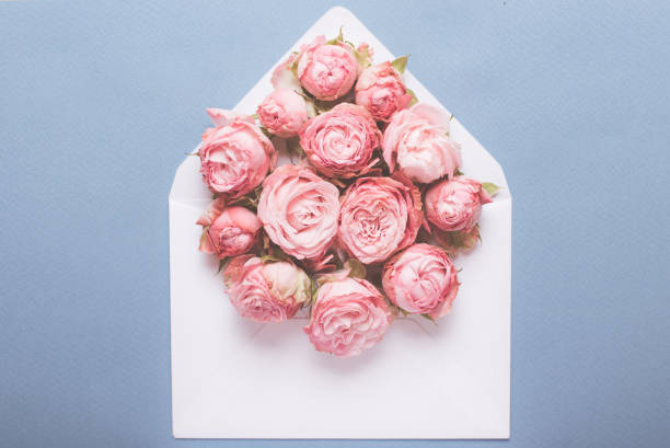 istock White envelope with pink roses on the blue background. Congratulation with wedding, birthday, mothers day, valentines day. 1372144221
