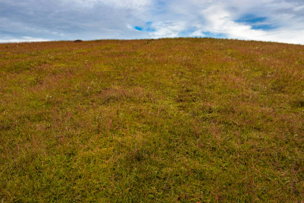 istock countryside orange grass mountain with flat sky at morning 1372144652
