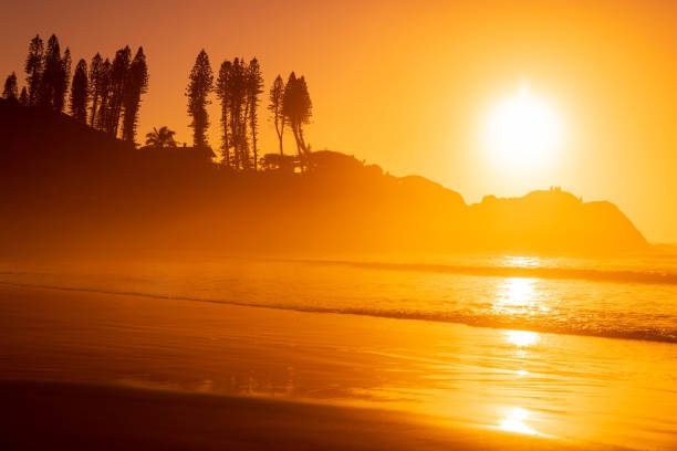 Sunrise on ocean beach with waves and rocks with trees. Joaquina beach in Brazil Sunrise on ocean beach with waves and rocks with trees. Joaquina beach in Brazil joaquina beach in florianopolis santa catarina brazil stock pictures, royalty-free photos & images
