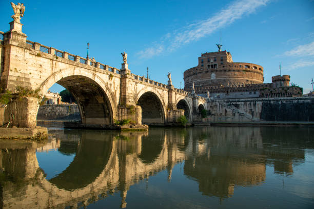Rome at sunrise bridge, Ponte Sant Angelo reflected in the Tiber river just at sunrise. pinus pinea photos stock pictures, royalty-free photos & images