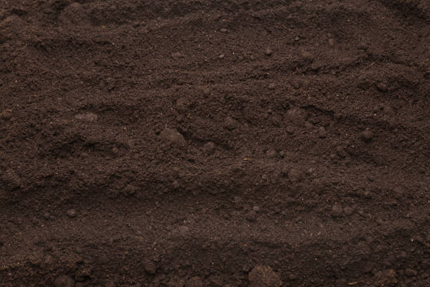 istock Black land for plant background. Top view. 1372147559