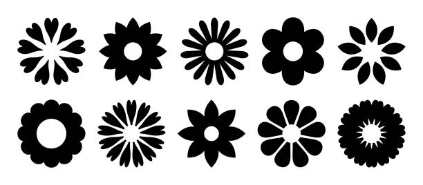 꽃 아이콘. 꽃 실루엣. 꽃 무늬의 상징. 데이지, 장미와 카모마일의 패턴. 흰색 배경에 격리 만화 간단한 그래픽 모양의 집합. 벡터 - 꽃 stock illustrations