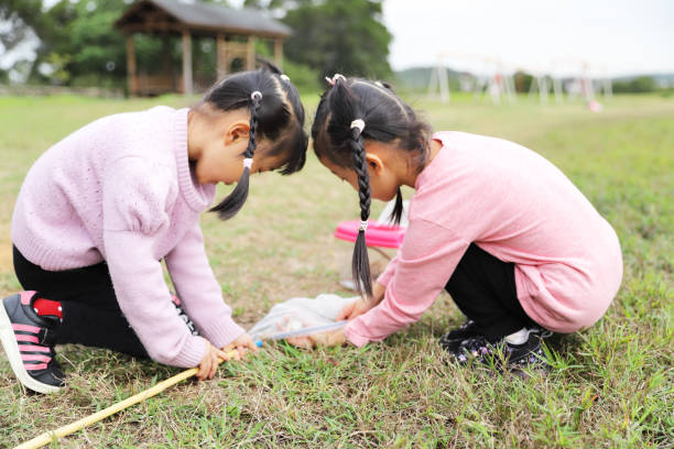 asian girls catching insects with  butterfly net in a meadow