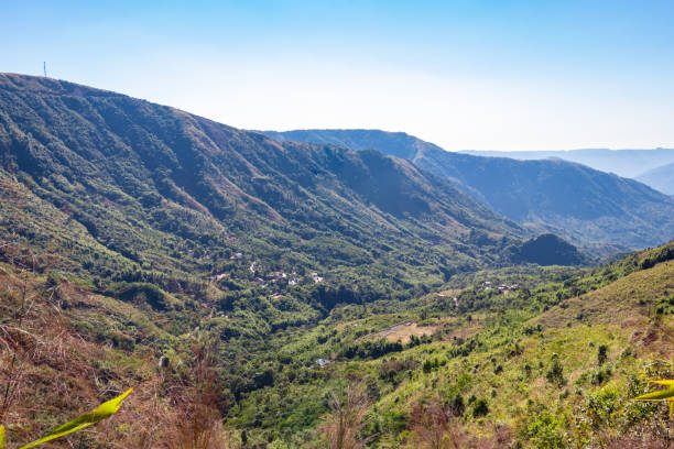 istock mountain range covered with dense green forests and bright blue sky at morning 1372149703