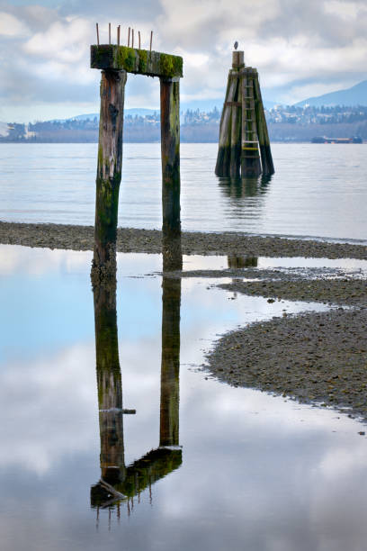 istock Barnet Marine Park Shoreline Ruins 1372150467