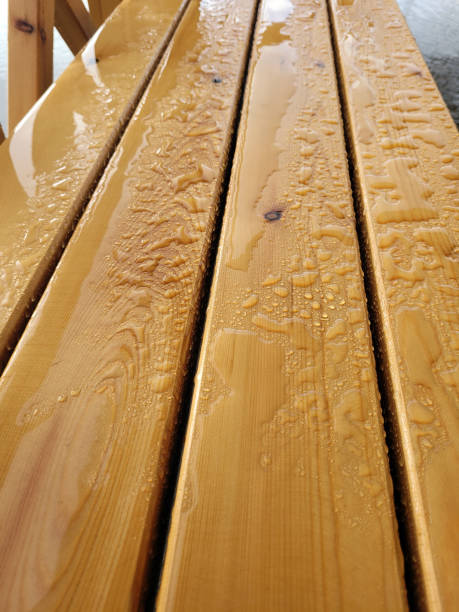istock Texture of wet wood background 1372154581