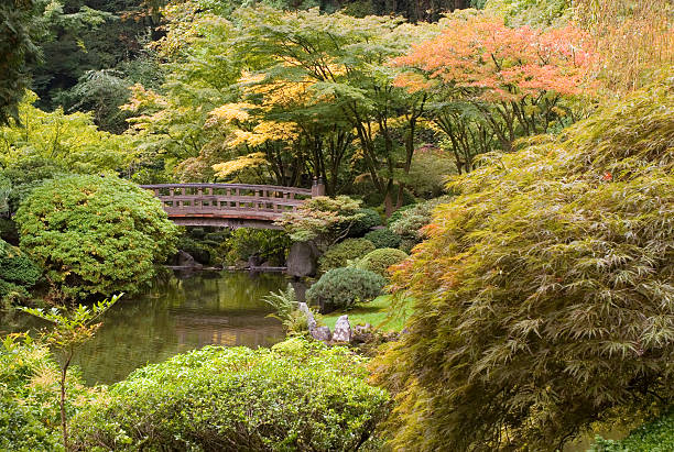 istock Autumn Garden Peace Bridge 137215482