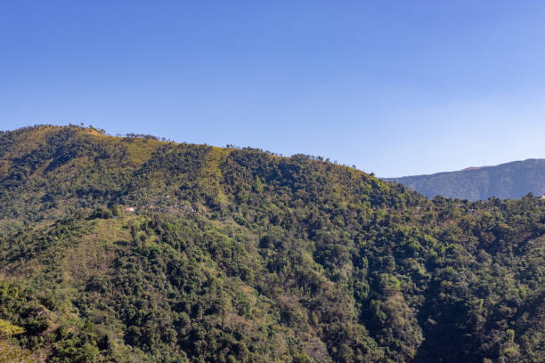 istock mountain range covered with green forests and misty blue sky at morning from flat angle 1372155930