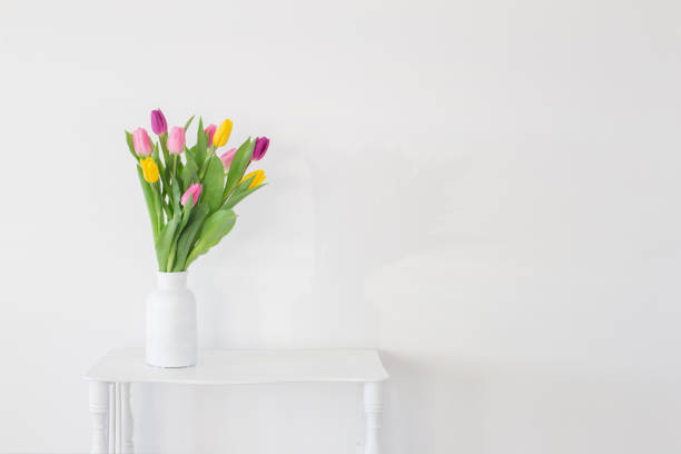 istock tulips in white vase on wooden shelf on white background 1372157342