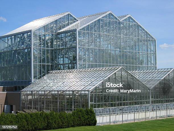 Greenhouse Stock Photo - Download Image Now - Grand Rapids - Michigan, Greenhouse, Growth