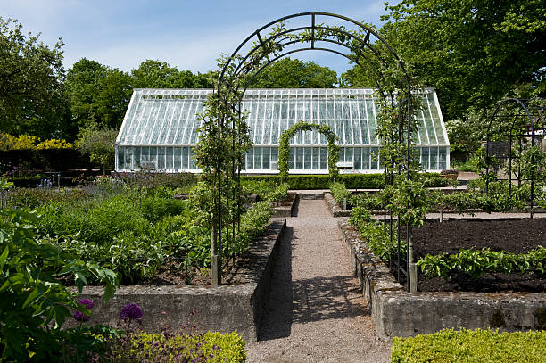 istock Vintage greenhouse with arc 137215841