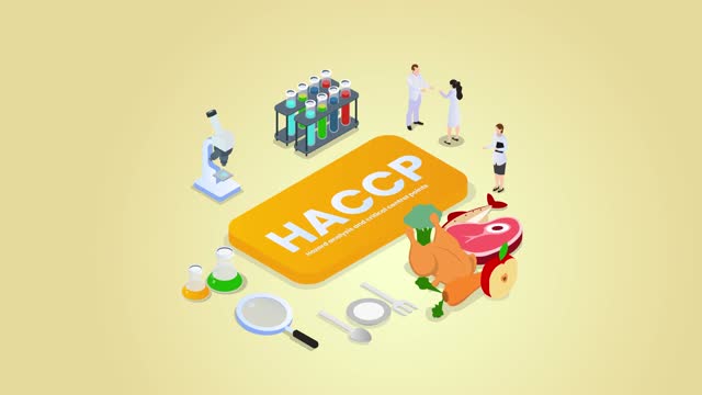 Group of doctors stand with acronym of HACCP word