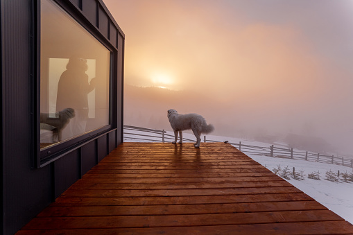 Tiny house with terrace in the mountains during winter on sunrise. Woman looks out from the window, her dog on terrace outdoors. Concept of small modern cabins for rest and escape to nature