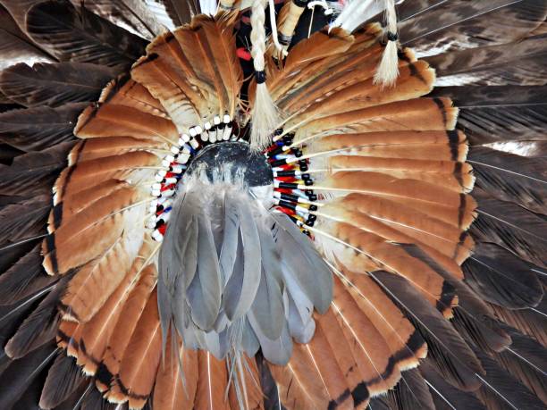 penas em um busto nativo-americano - cultura tribal da américa do norte - fotografias e filmes do acervo
