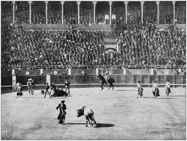 Antique photograph of World's famous sites: Madrid Bull ring Antique photograph of World's famous sites: Madrid Bull ring bullfighter stock illustrations