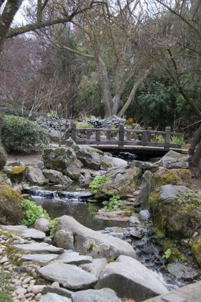 istock stream in the garden with a walking bridge 1372162208