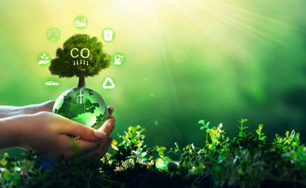 istock Renewable energy-based green businesses can limit climate change and global warming.Reduction CO2 emission concept.
Clean and environmentally friendly environment without carbon dioxide emissions. 1372163259