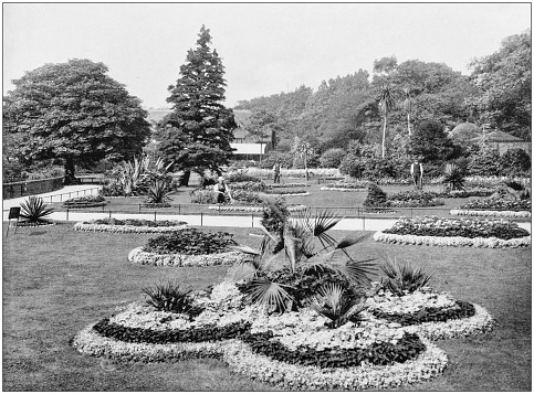 Antique photograph of London: Royal Botanic Gardens